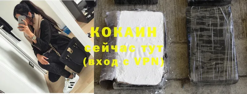 где купить наркотик  Белинский  hydra зеркало  Cocaine Эквадор 