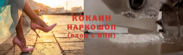 гашик Вязники